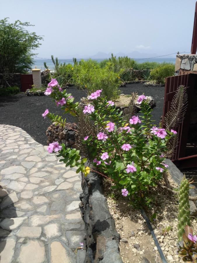 Coin De Paradis,Pavillon Doucimar Porto Novo Exteriér fotografie